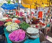 Bangalore Basavana Gudi Market/ Margosa Road