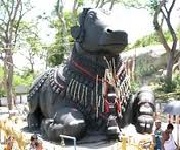 BAngalore Bull Temple