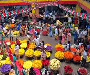 Bangalore Chicket, Cottenpent, Raja Market, BVK Iyengar