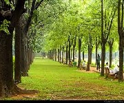 Bangalore Cubbon Park