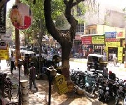 Bangalore Sampige Road / Margosa Road