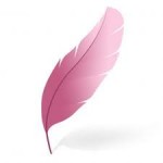 Pink Feather